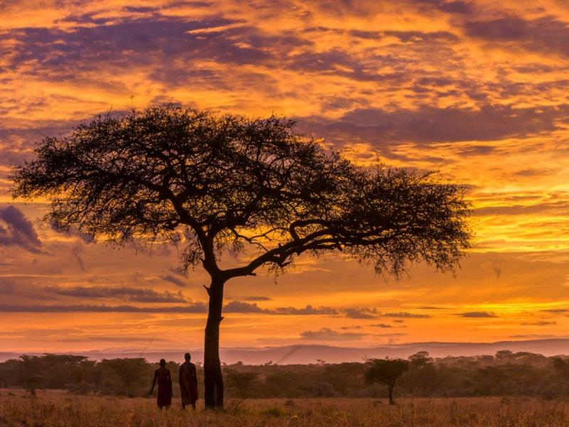  From the Masai Mara to the Indian Ocean
